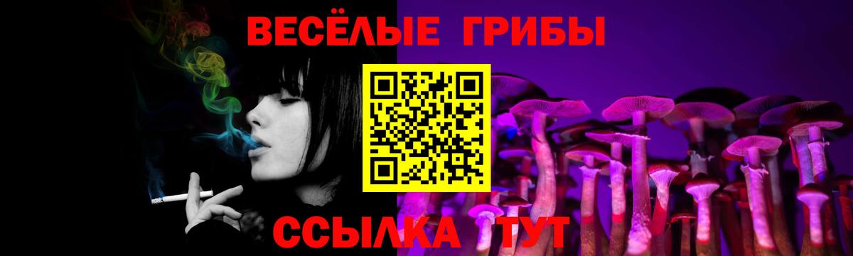 Псилоцибиновые грибы мицелий  Вход с VPN  Видное  Галлюциногенные грибы мухоморы 